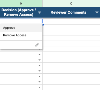 Sample spreadsheet with the Decision (Approve / Remove Access) dropdown open, listing two choices: Approve and Remove Access. The Reviewer Comments column sits next to the Decision column.