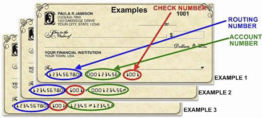 business checking account number