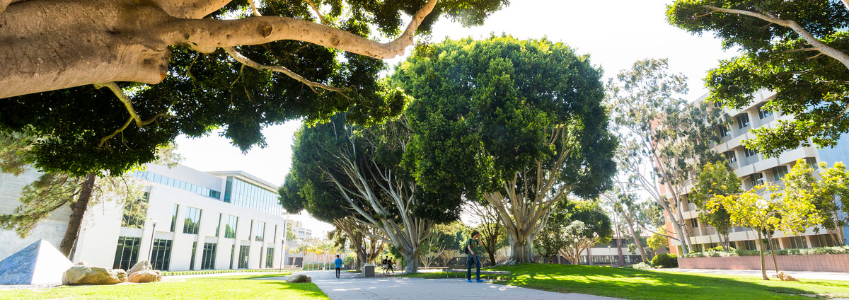 UCSB Campus Trees